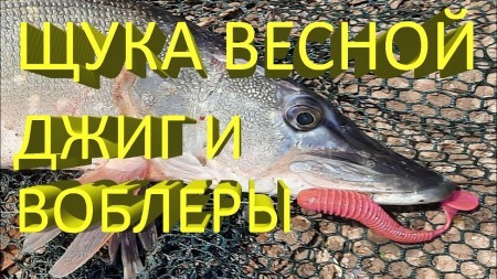 Жор щуки в глухозимье