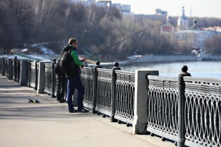 «Раковый коктейль» для организма: терапевт рассказал, какую рыбу употреблять строго запрещено