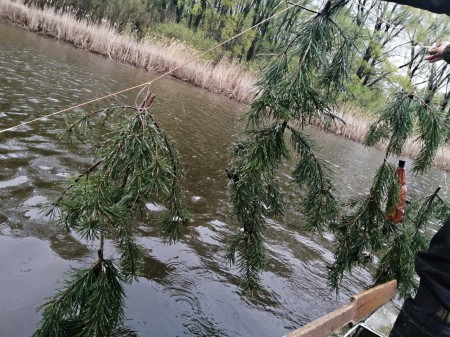 В Новосибирске 12 мая состоится экологическая акция: жителей города научат плести нерестилища