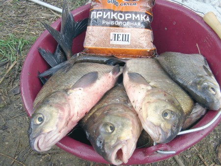 Какая прикормка нужна для успешной ловли леща весной