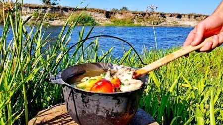 Только не в уху! Виды рыб, которых категорически нельзя класть в уху