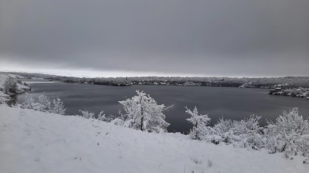 Декабрь, щуки на снегу...