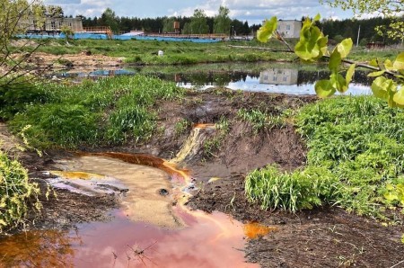 Продолжается расследование гибели рыбы под Киржачом: виновника могут привлечь к уголовной ответственности