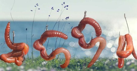 Мастерство ловли на червя: секреты достижения максимального результата