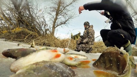 Секреты зимней рыбалки: распространенные ошибки и их влияние на клев