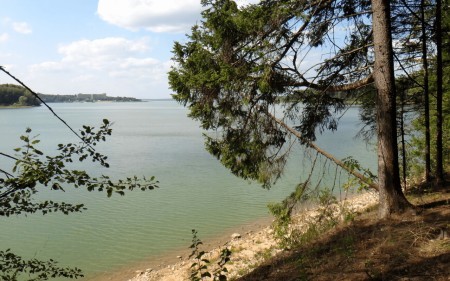 Карта глубин Рузского водохранилища: характеристики, рыбалка, особенности