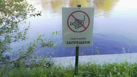 Нерест-2024: где запрещено ловить рыбу даже на поплавок. В каких регионах РФ действует полный запрет