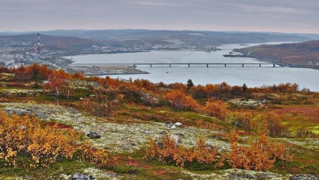 В Мурманской области выпустили 600 тысяч мальков лосося из Норвегии: рыбе предстоит пройти карантин