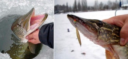 Зимние блесны на щуку