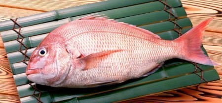 Морской окунь вред и польза
