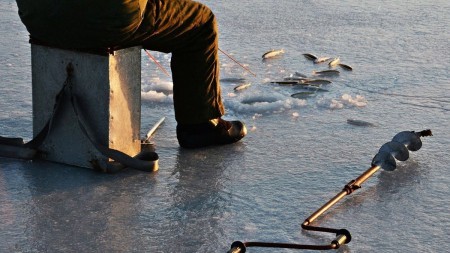 Лучшая зимняя удочка Salmo Fin: надежность, проверенная временем и стойкость к морозам
