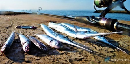 Где ловят рыбу на Черном море и на какие снасти