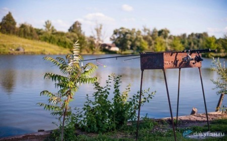 Рыбалка на хуторе "Крестов"