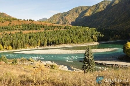 Рыболовный тур на реке Урсул
