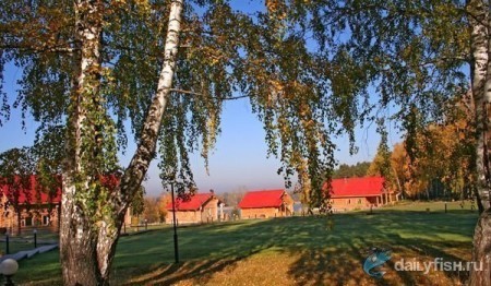 База отдыха "Кордон Донаурово"
