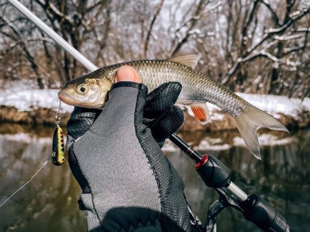 Smith BTK Swimmer новый вариант для ловли рыбы, который может заменить микроджиг