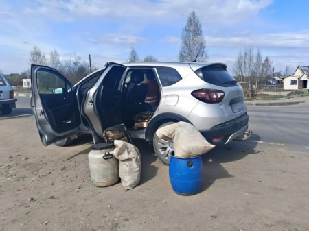 В Архангельской области задержали пьяного водителя без прав с нелегальным уловом из 100 рыб в салоне машины
