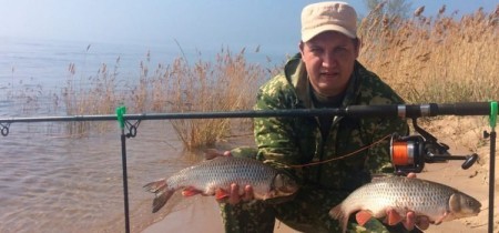 Ловля голавля на донку (фидер)