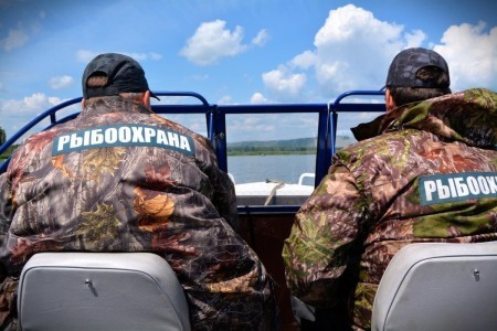 Инспектор рыбнадзора имеет полное право досматривать ящик и автомобиль