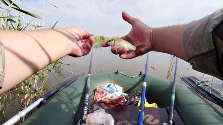 Хитрый способ ловли карася, проверенный метод маскировки наживки