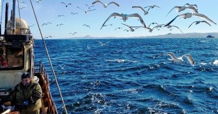 Почему в России с её богатыми водоёмами рыба стоит так дорого