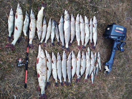 Правила рыболовства изменились: раньше рыбу с водоемов вывозили мешками, но больше так делать не удастся