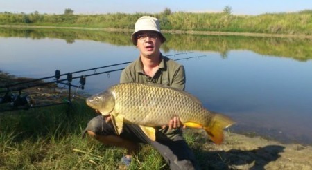 Ловля карпа на кукурузу