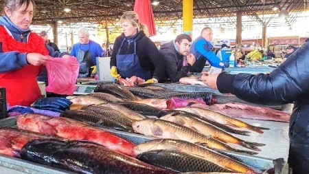 В рыбе, которую мы даем детям, находят 10-метровых червей: опасные болезни и как избежать заражения