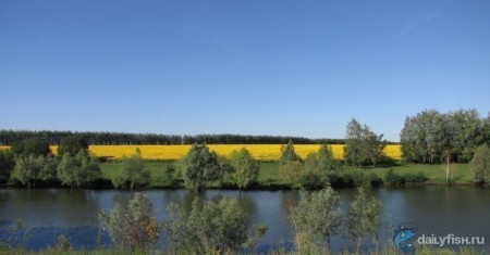 Платная рыбалка на Макаровском пруду