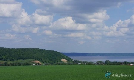 Загородный клуб "Волжская усадьба"