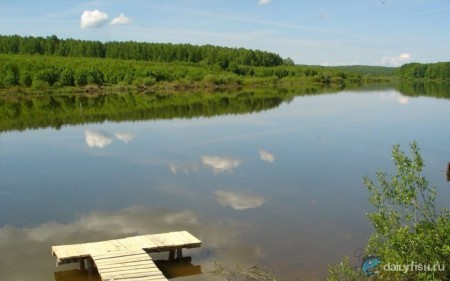 Рыболовное хозяйство "Остроган"
