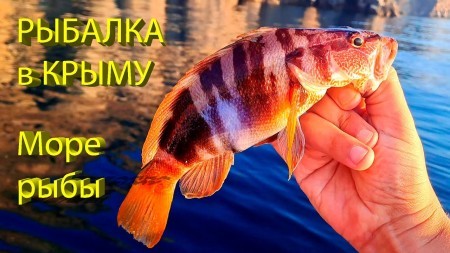 В поисках морского карася (ласкиря)