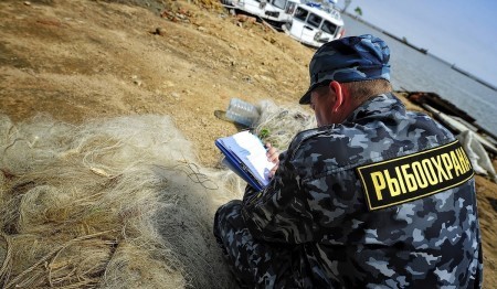 Новые штрафы 2023 в России за вылов даже самой маленькой рыбы