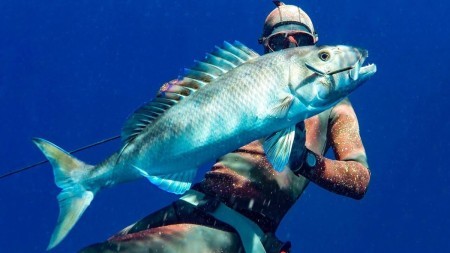 Зелёный априон