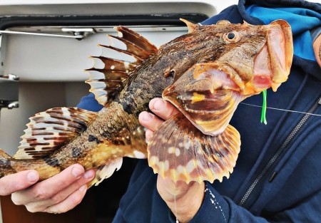 Морская рыбалка на удочку в Тихом океане, показываю улов за час
