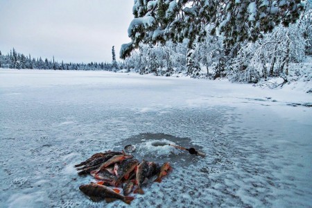 Секреты ловли на мормышку чёртик для начинающих