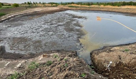 Установлено, почему погибла рыба в реке Кума: агрофирма сбрасывала в водоем жидкий навоз