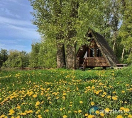 База отдыха "Теремок" на берегу Сакмары