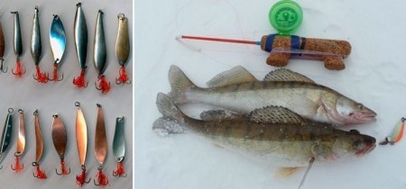 Самые уловистые зимние блесны на судака