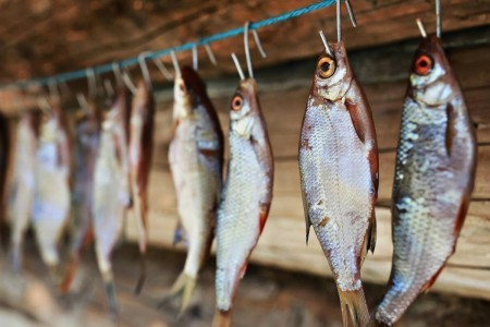 Как правильно завялить рыбу, чтобы сохранить жирок и вкусовые качества