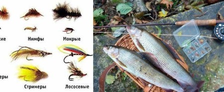 Ловля хариуса на мушку