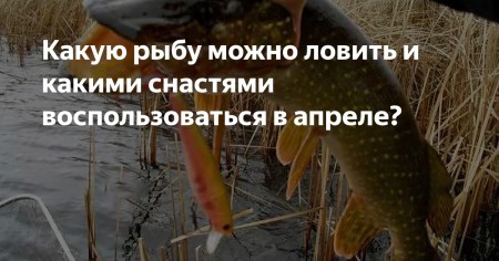 Апрельская рыбалка: как не упустить удачу и поймать крупную рыбу