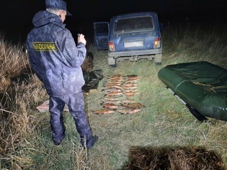 Уголовная статья за одну рыбину новый закон о рыболовстве вступил в силу