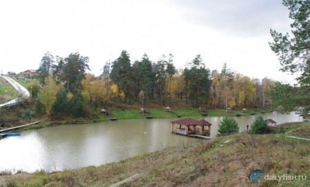 Комплекс "Медвежий угол"