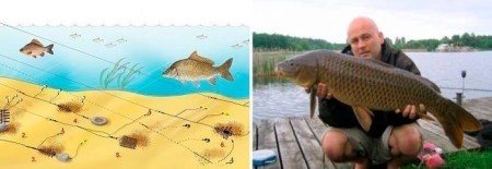 Донная снасть на карпа