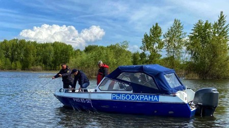 Более 200 кг рыбы и 70 тысяч рублей штрафов: инспекторы Свердловской области отчитались о борьбе с браконьерами