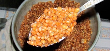 Запаривание пшеницы для рыбалки