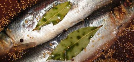 Солим вкусно рыбу в домашних условиях