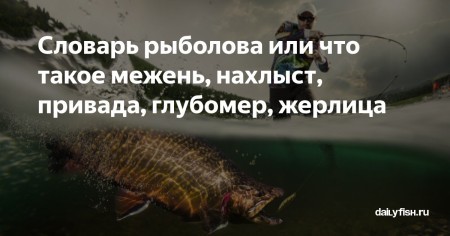 От начинающего до эксперта: словарь рыболовных терминов от А до Я