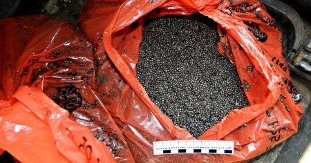 Жительницу Хабаровского края приговорили к колонии за контрабанду черной икры